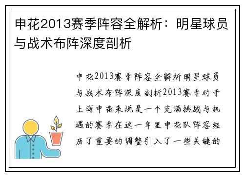 申花2013赛季阵容全解析：明星球员与战术布阵深度剖析