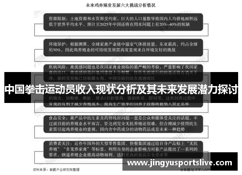 中国拳击运动员收入现状分析及其未来发展潜力探讨