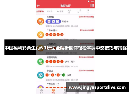 中国福利彩票生肖6 1玩法全解析助你轻松掌握中奖技巧与策略